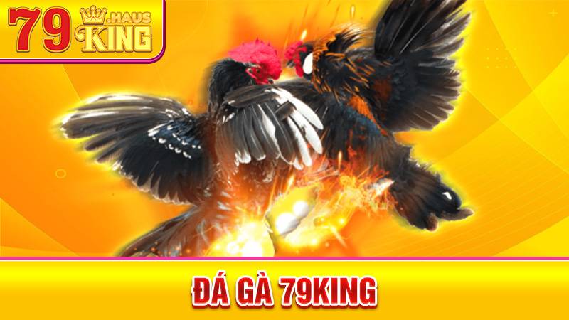 Đá Gà 79KING - Cập Nhật Trận Đấu Gà Chọi Mới Nhất 2026 1 Đá gà 79King